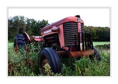 Massey - Ferguson 50*