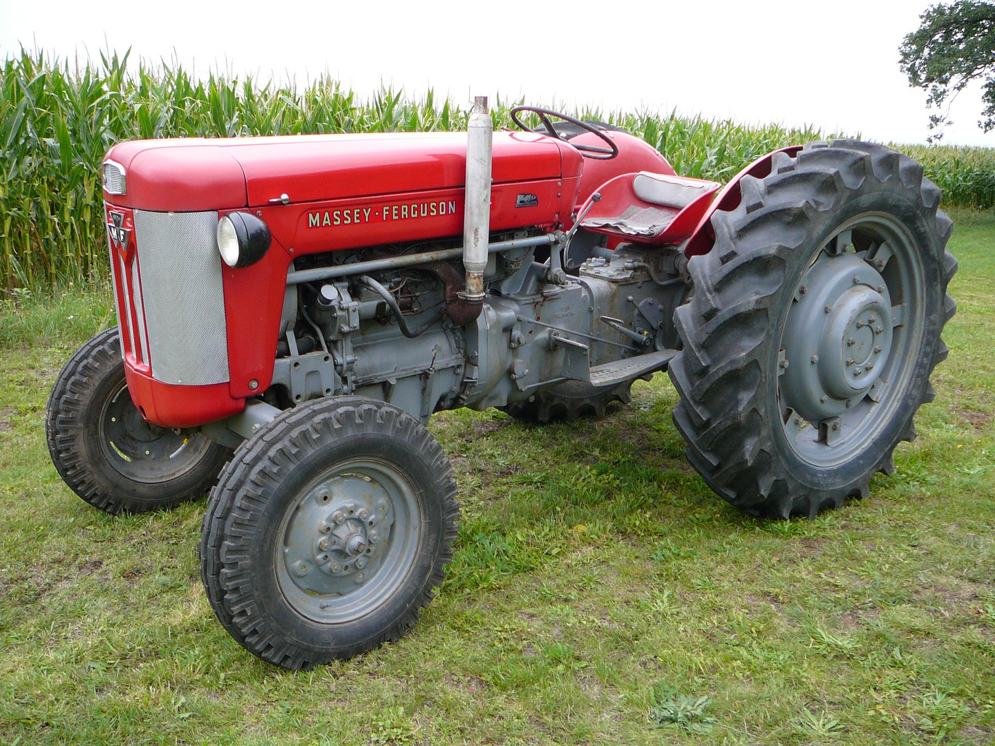 Massey Ferguson 65 Foto & Bild industrie und technik, traktoren