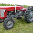 Massey Ferguson 65