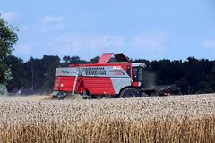 MASSEY FERGUSON