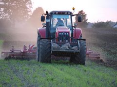 MASSEY FERGUSON in Quarnbek Reimershof im Einsatz.