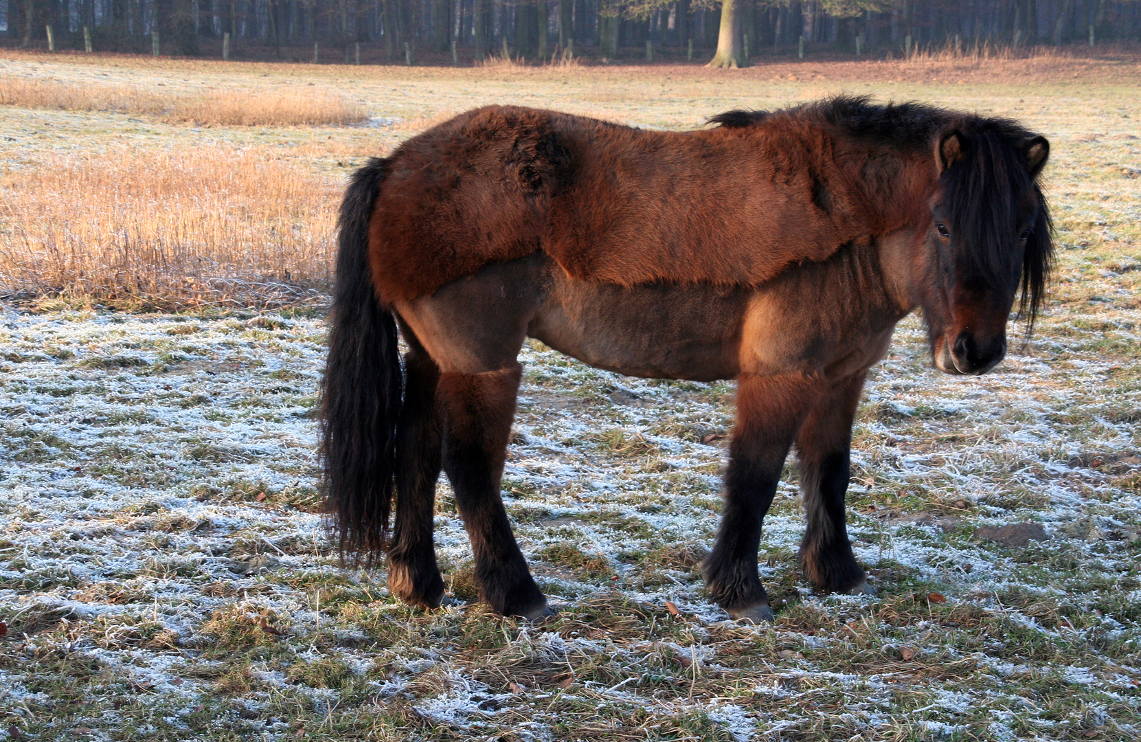 - maßgeschneidert ! mit Jacke und Stiefeln -