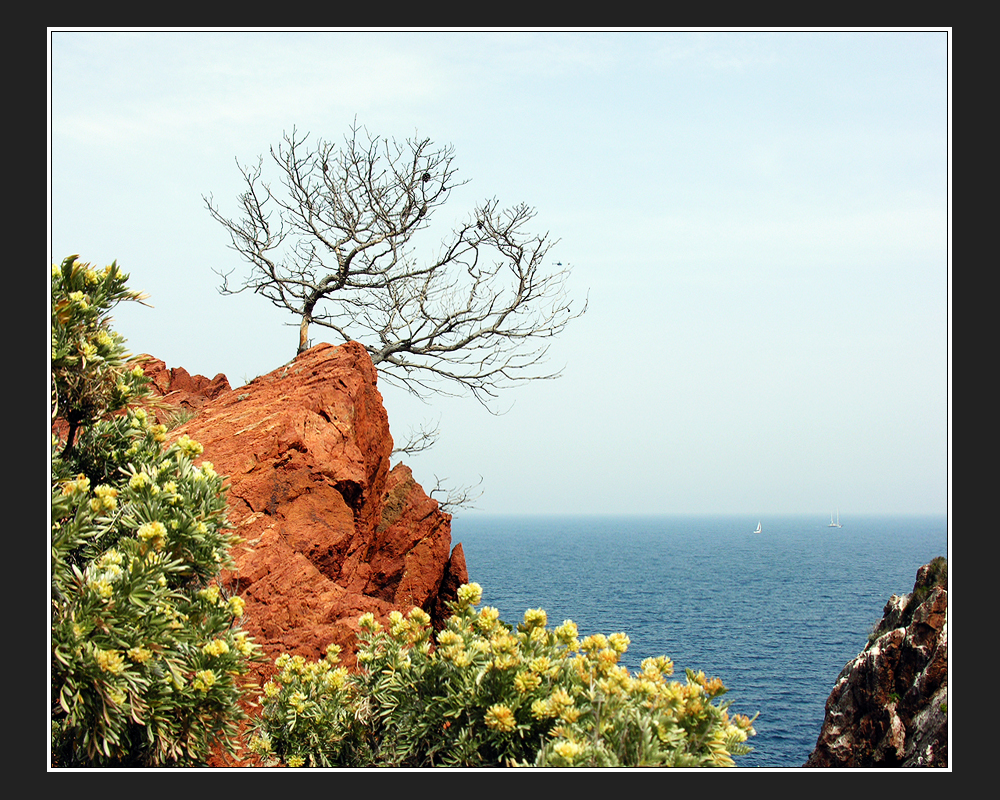 Massif de l'Esterel