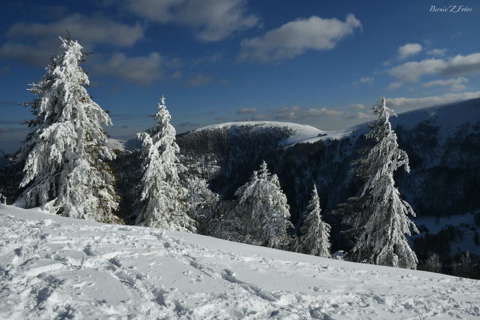 Massif du Hohneck