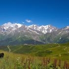 Massif du Mont Blanc