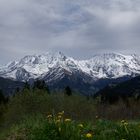 Massif du Mt Blanc