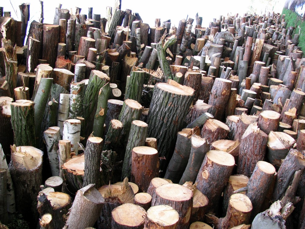 massig Holz