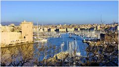 Massilia