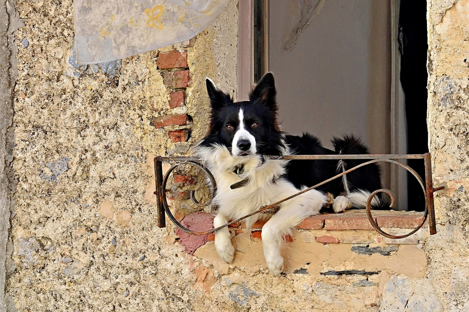 Massima attenzione