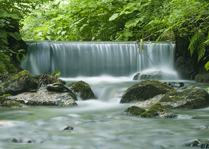 massing stream on a rainy day