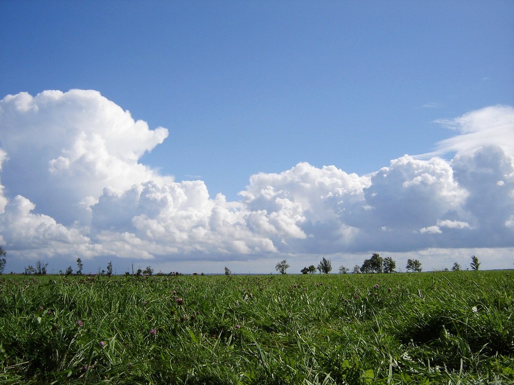 massive clouds