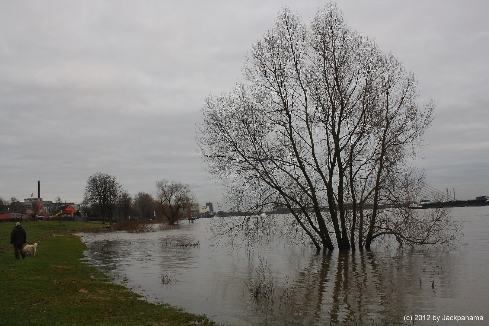 Massive Überschwemmung der Wiese am Städt. Rheinbad in Wesel