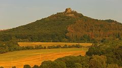 Massives Bäumesterben beim Hradek im Böhmischen Mittelgebirge...