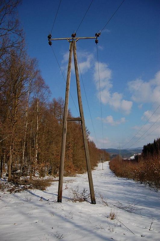 Mast im Wald