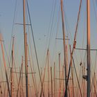 Masten im Abendlicht - Yachthafen in Heiligenhafen