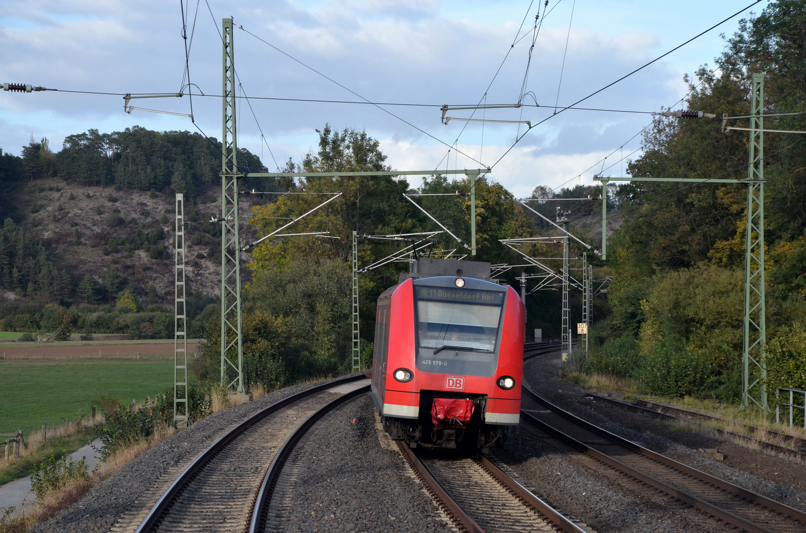 Mastenwald im Diemeltal