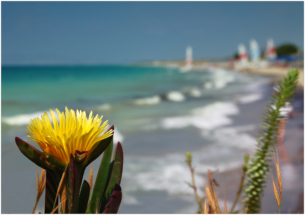 ~ Mastichari Bay ~