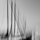 Masts