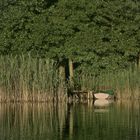 Masuren Boot im Abendlicht