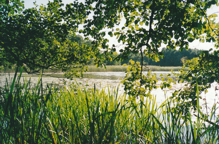 Masuren im Sommer