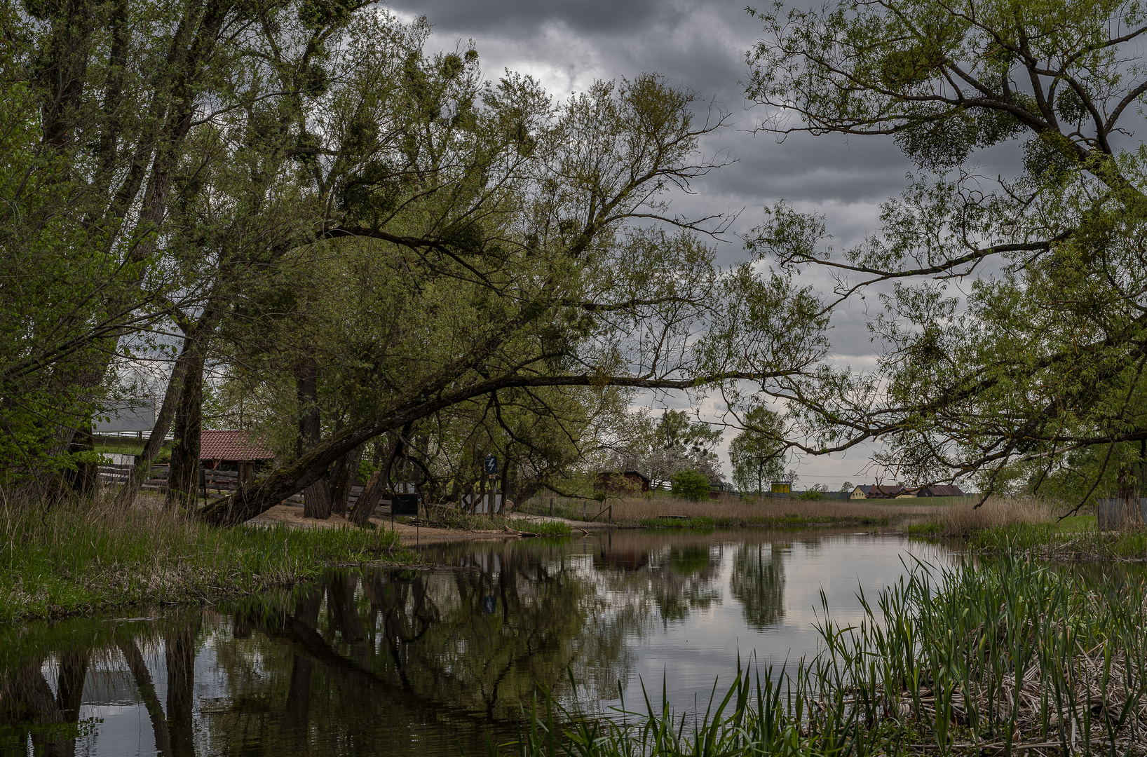 Masurische Flusslandschaft