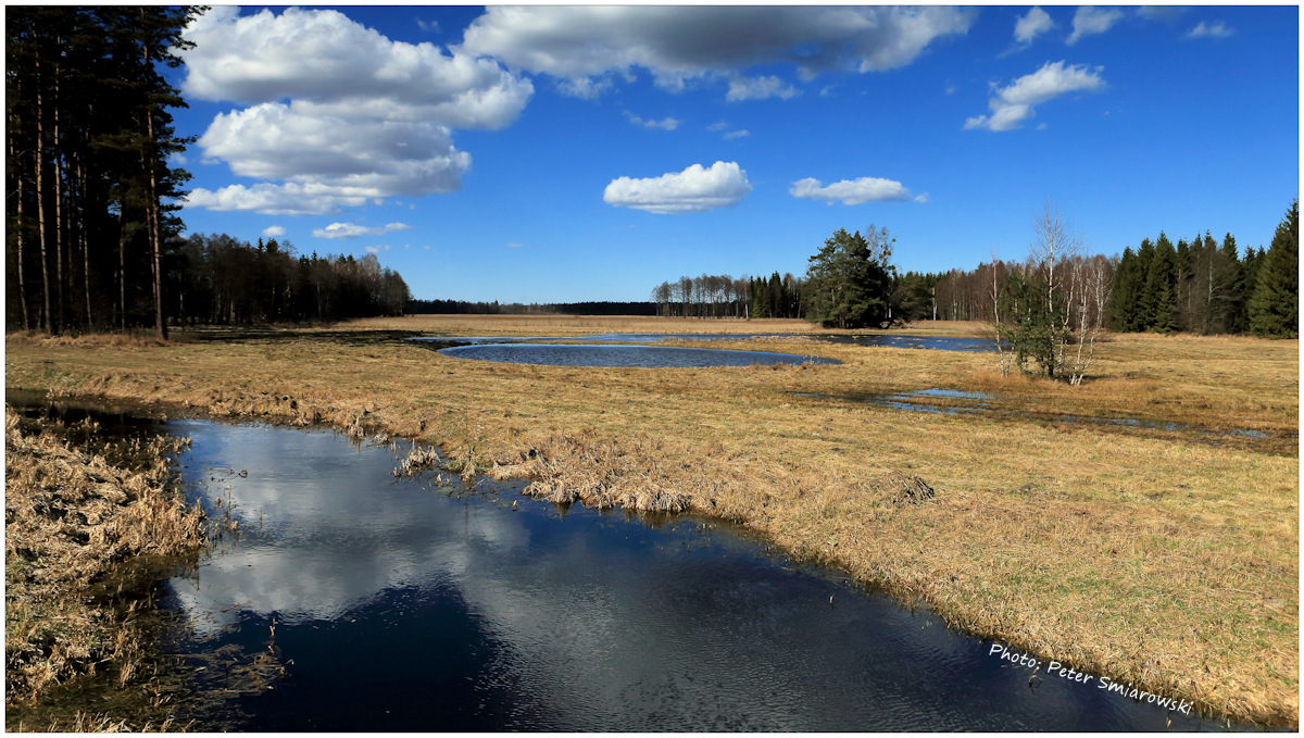 Masurische Landschaft im Frühling