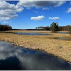 Masurische Landschaft im Frühling