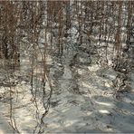 Masurische Winterlandschaft 6