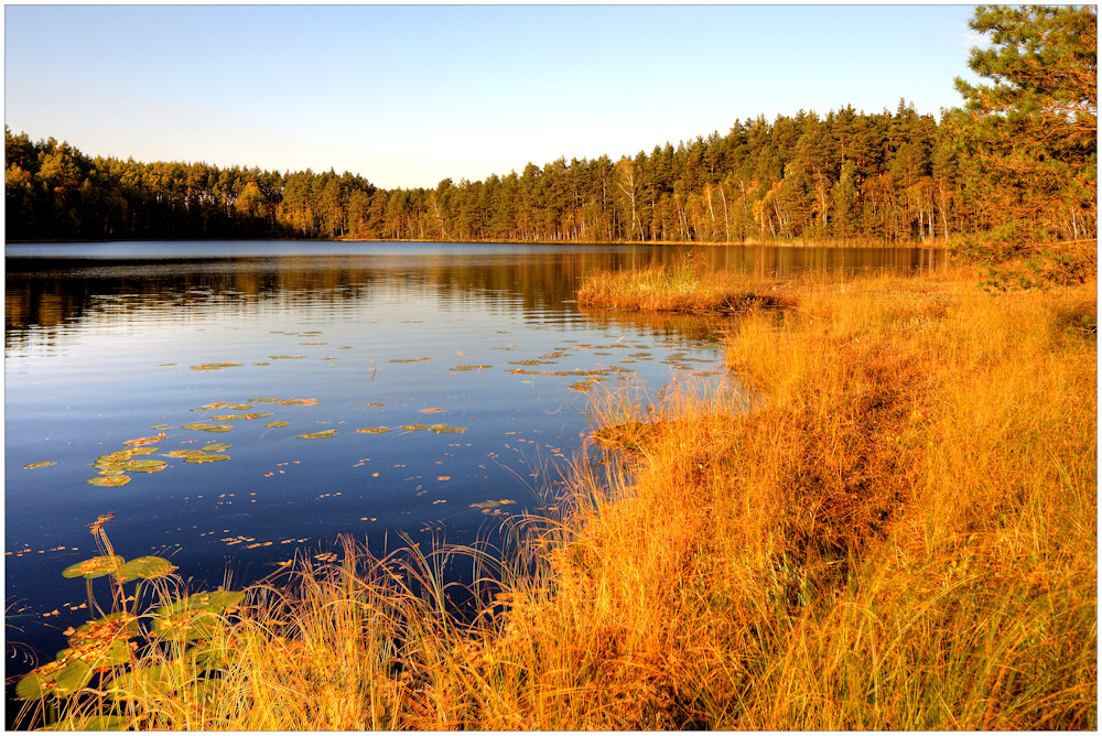 Masurischer Herbst am...