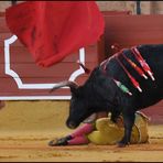 Matador am Boden, seine muleta wirbelt durch die Luft