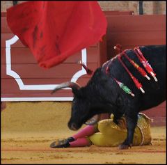 Matador am Boden, seine muleta wirbelt durch die Luft