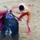 MATADOR