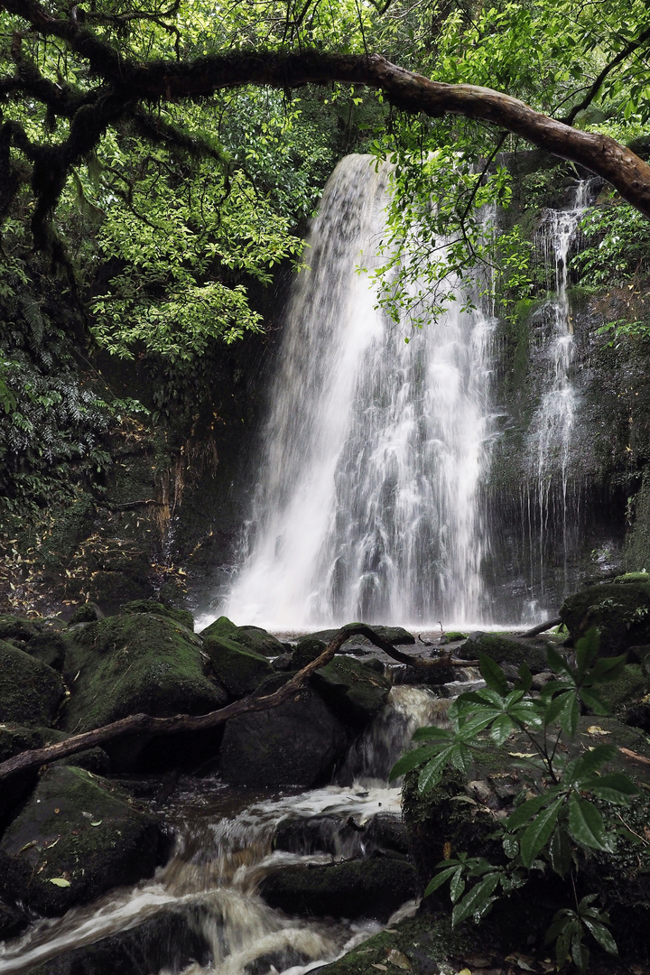 Matai Fall