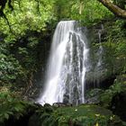 Matai Falls