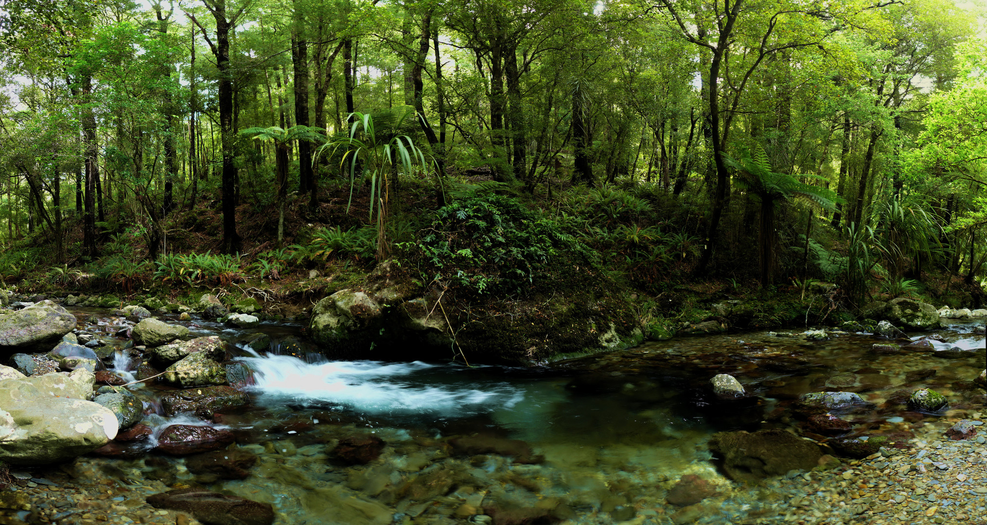 Matai Valley - Dun Mountain III