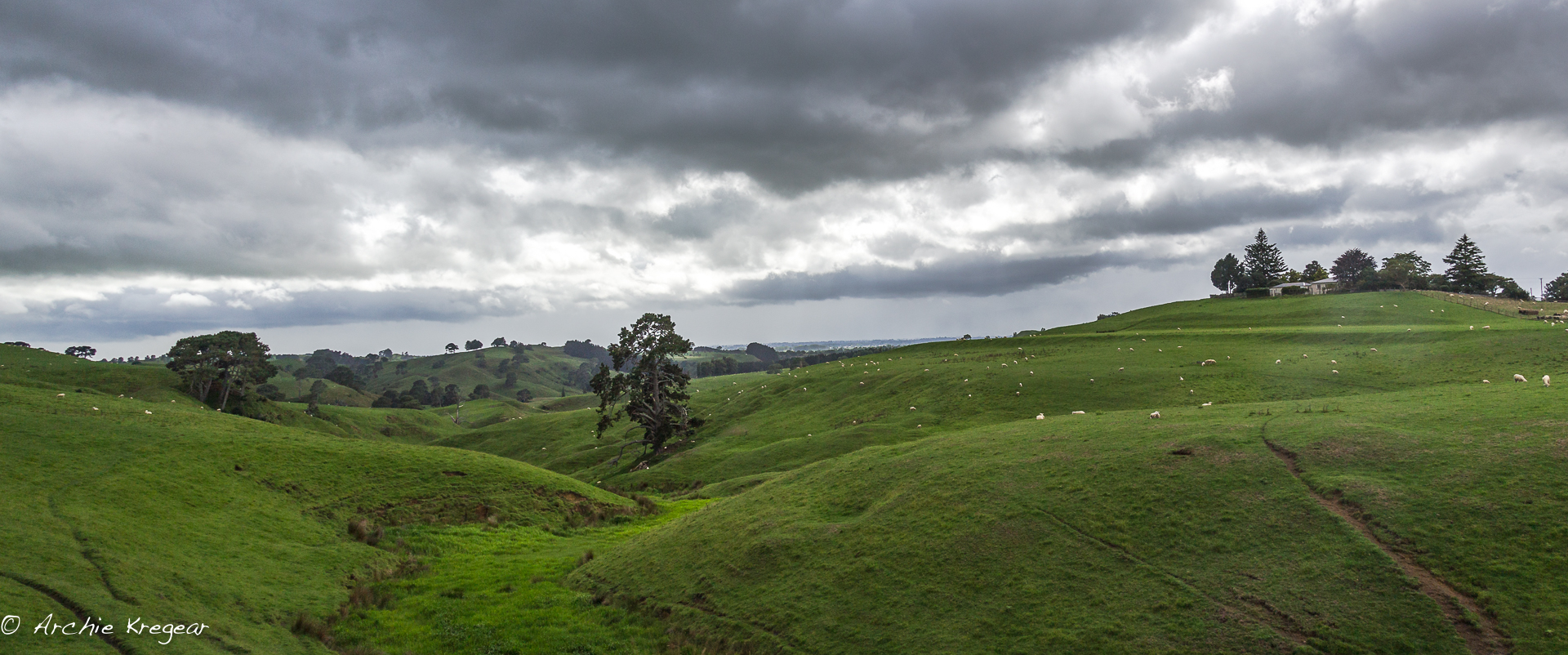 Matamata area landscape