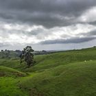 Matamata area landscape