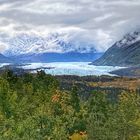 matanuska