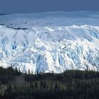 Matanuska Glacier