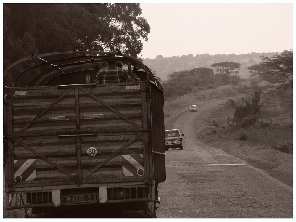 matatus in the mist