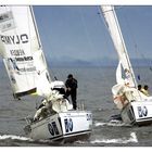 Match Race Germany 2005, Langenargen..