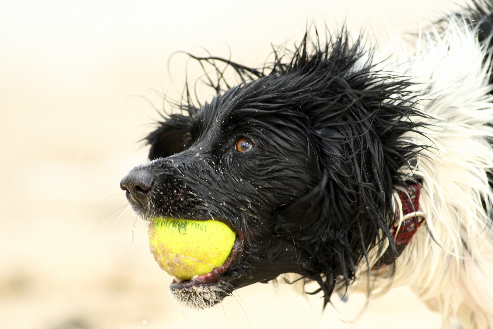 Matchball