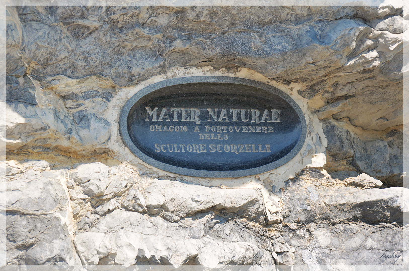 MATER   NATURAE