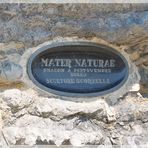 MATER   NATURAE