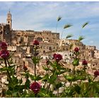 Matera