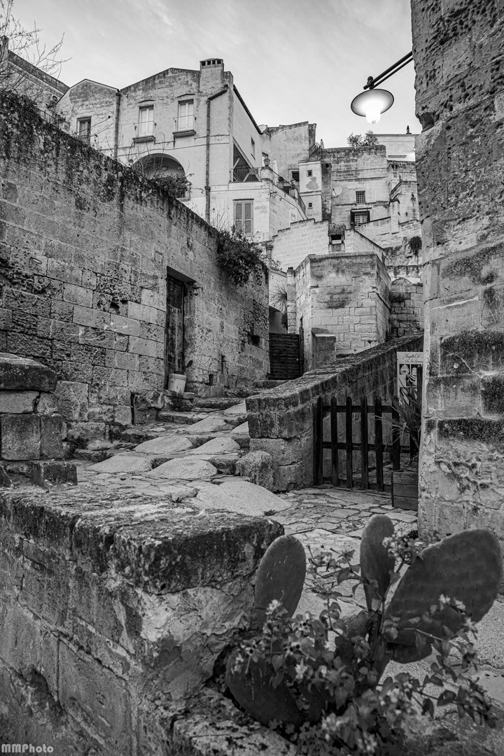 Matera sw 3