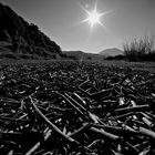 matese lake