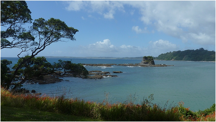 Matheson Bay - bei Leigh Neuseeland