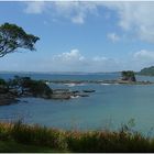 Matheson Bay - bei Leigh Neuseeland