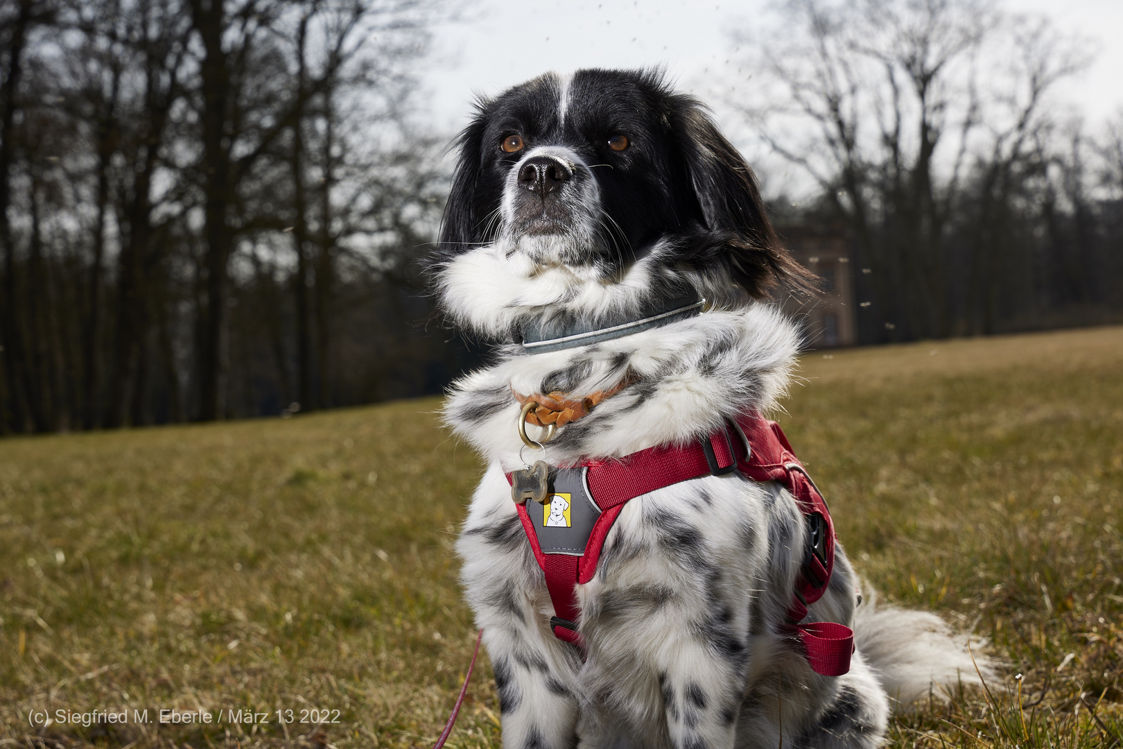 Mathilda im Park